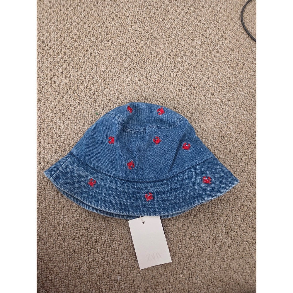 Zara boys hat size 10-13 years